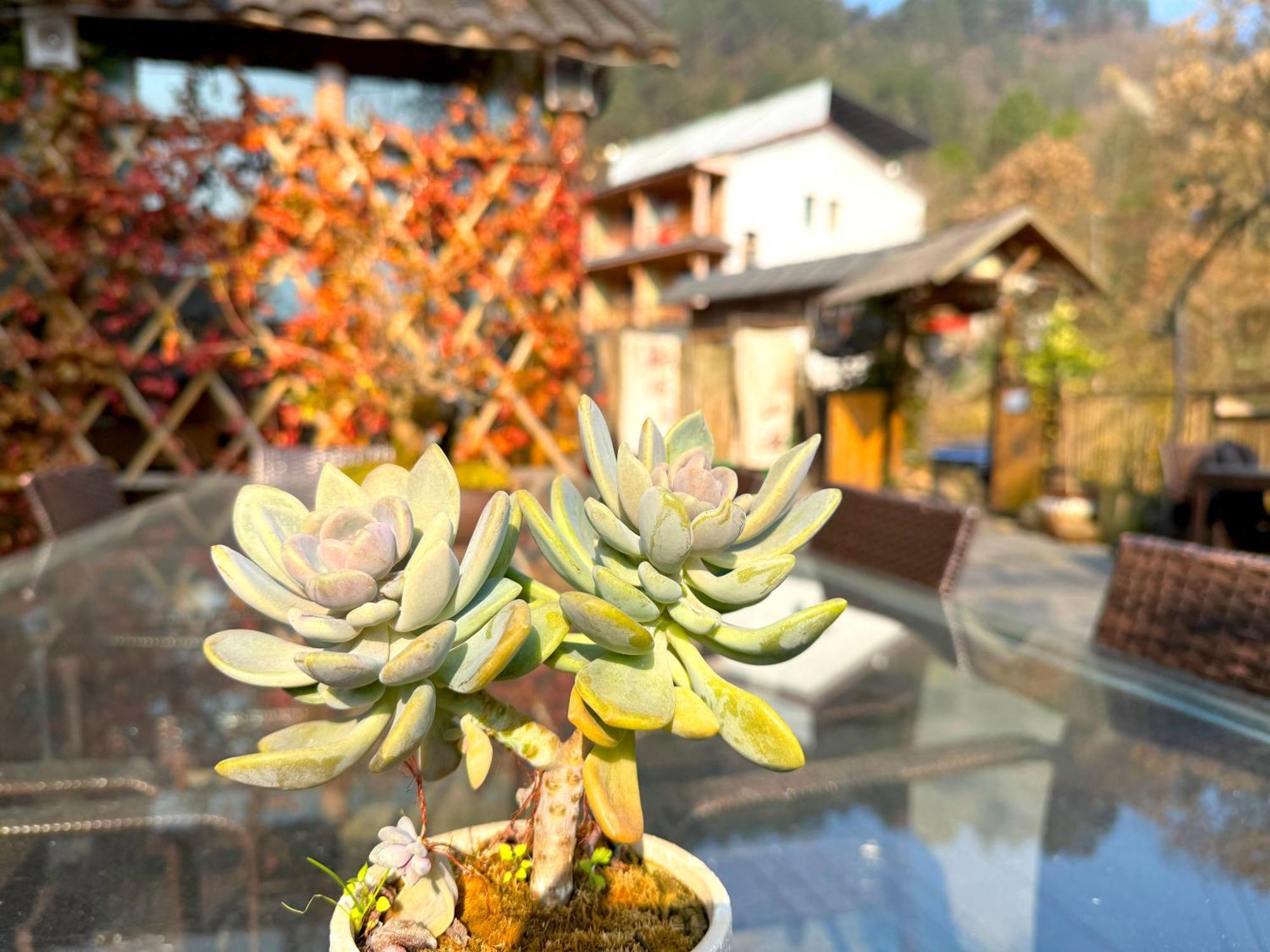 Zhangjiajie Forest Park Youth Hostel Dış mekan fotoğraf